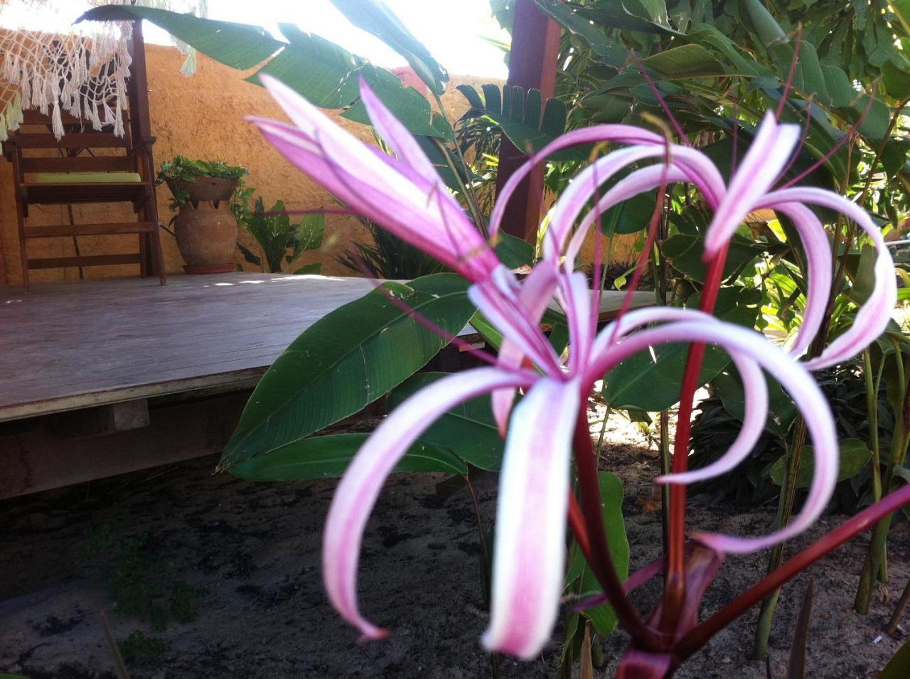 Casa Do Jardim Bed & Breakfast Canoa Quebrada Exterior foto